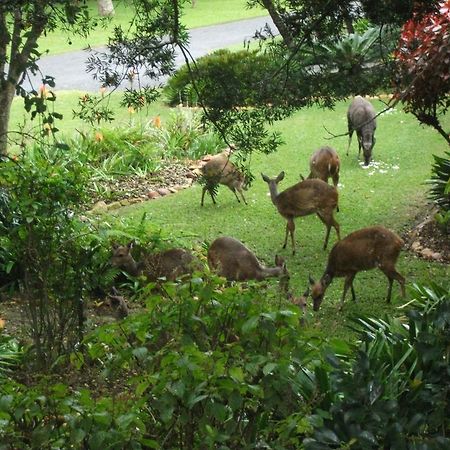 Appartamento Glen House Brenton-on-Sea Camera foto